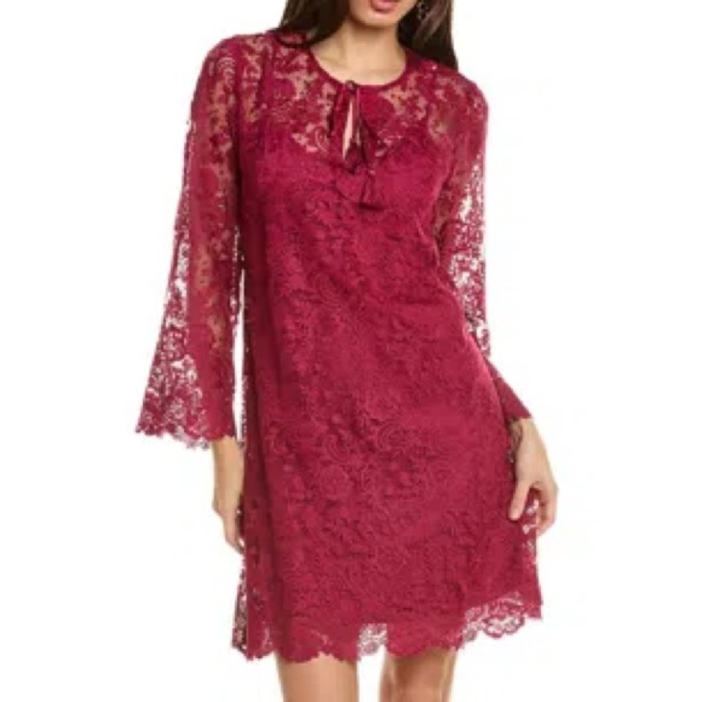 Johnny Was Harper Lace Mini Dress MRSP $388